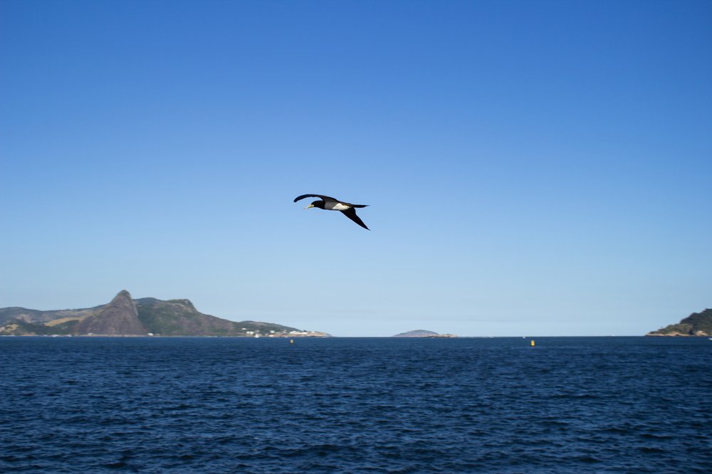 Photograph by Arnaldo Andrade