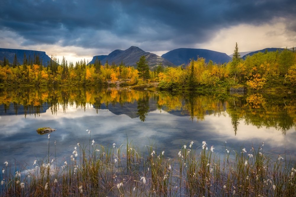 Photograph by Алексей Мараховец