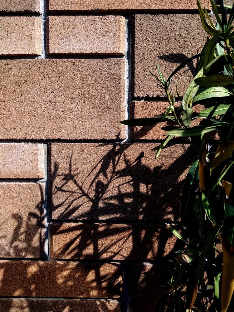 Photograph by Сергей Грато