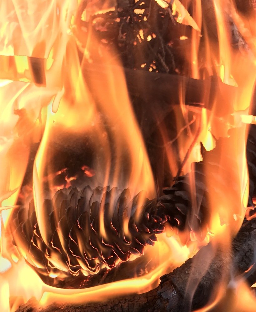 Photograph by Наталья Вистинь