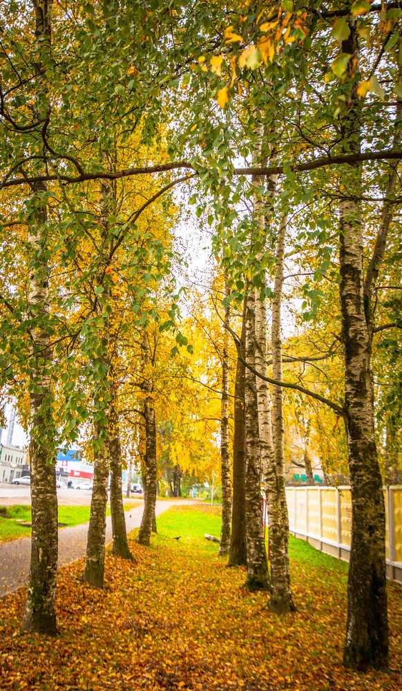 Photograph by Ольга Сафронова