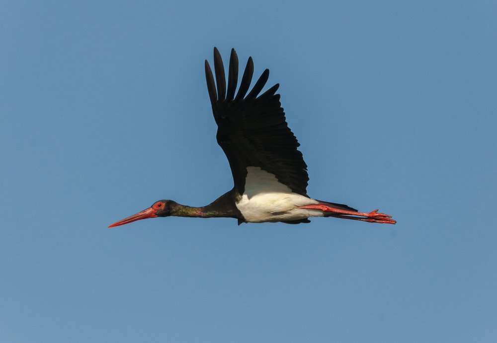 Photograph by Jesus Varas