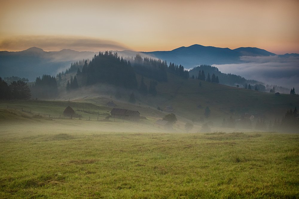 Photograph by Людмила Гладких