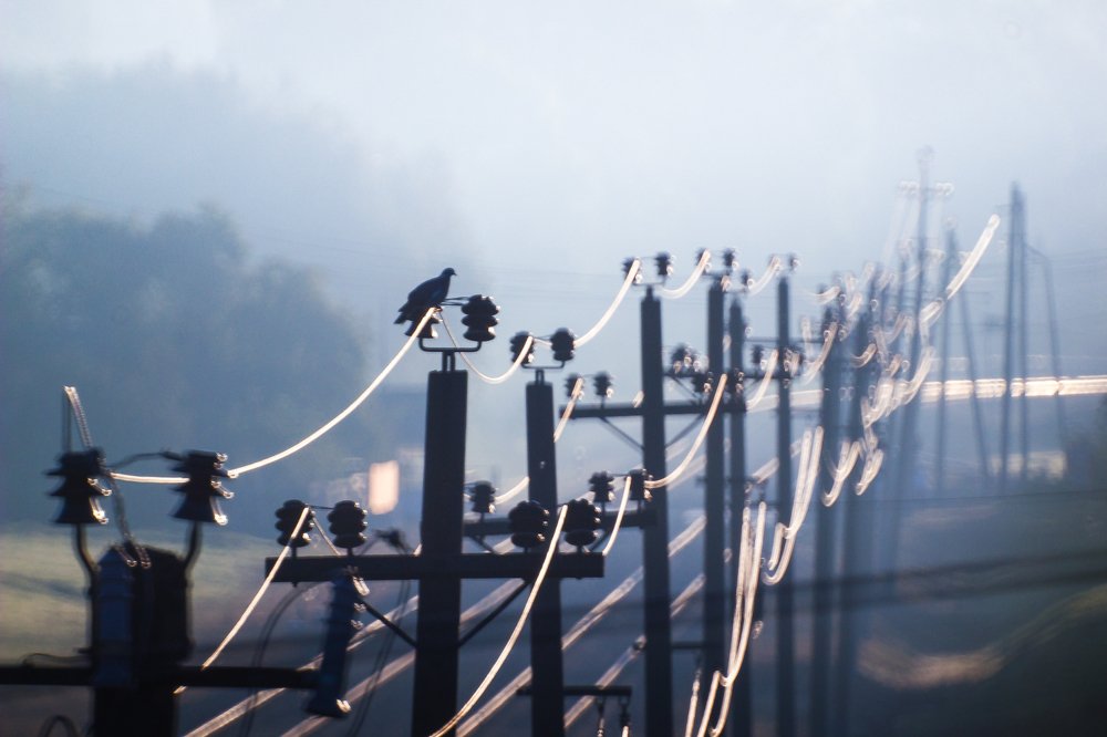 Photograph by Павел Барановский