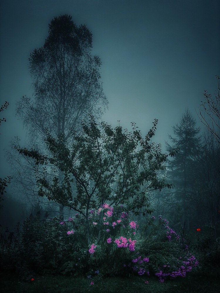 Photograph by Вадим