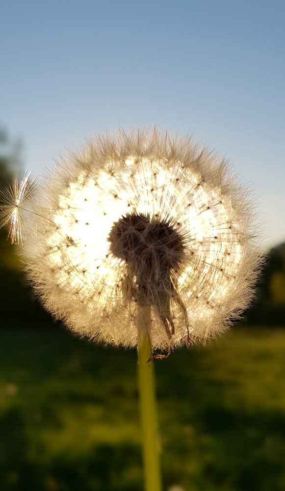 Фотография автора Юлия Костина