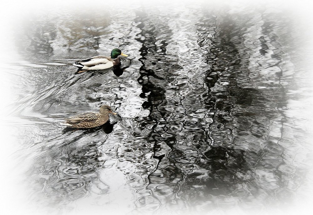 Photograph by Евгений Жиляев