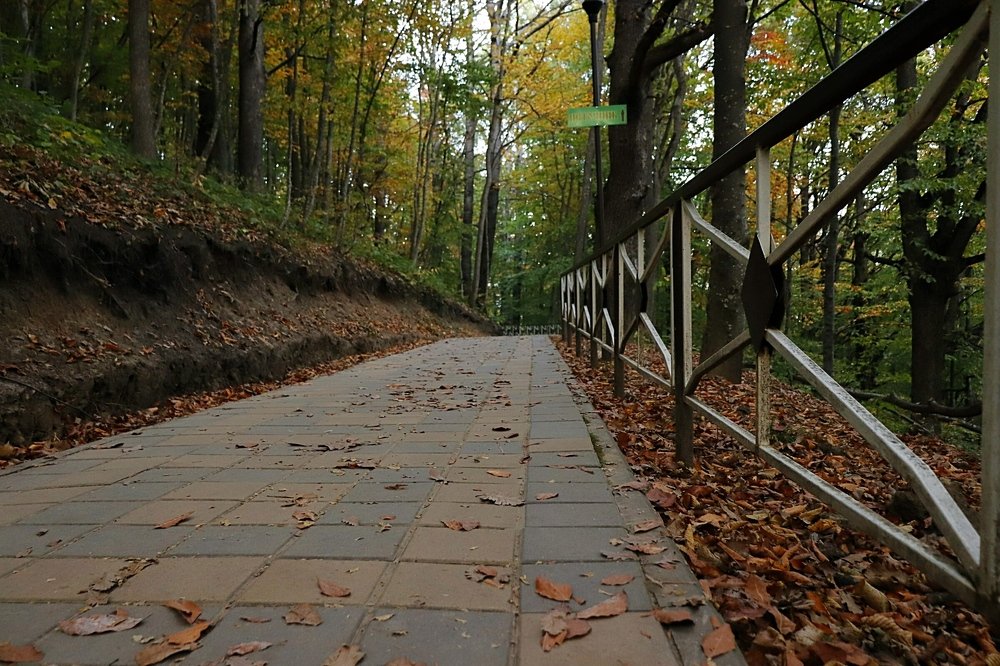 Photograph by Олег Башкуров