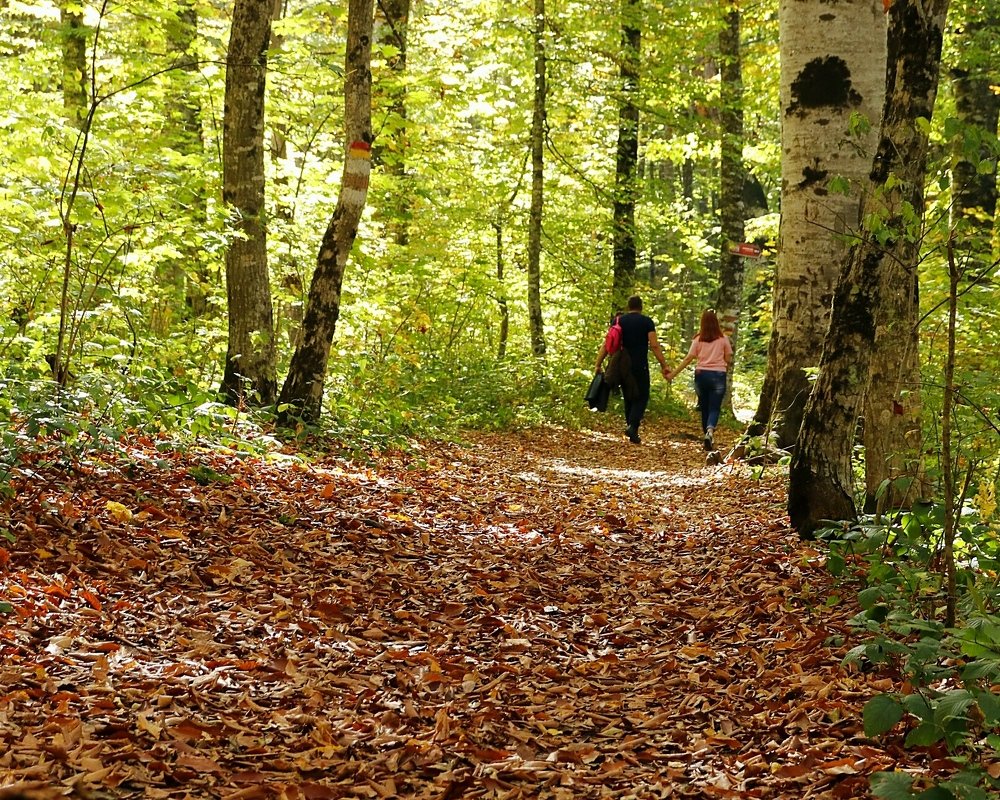 Photograph by Олег Башкуров