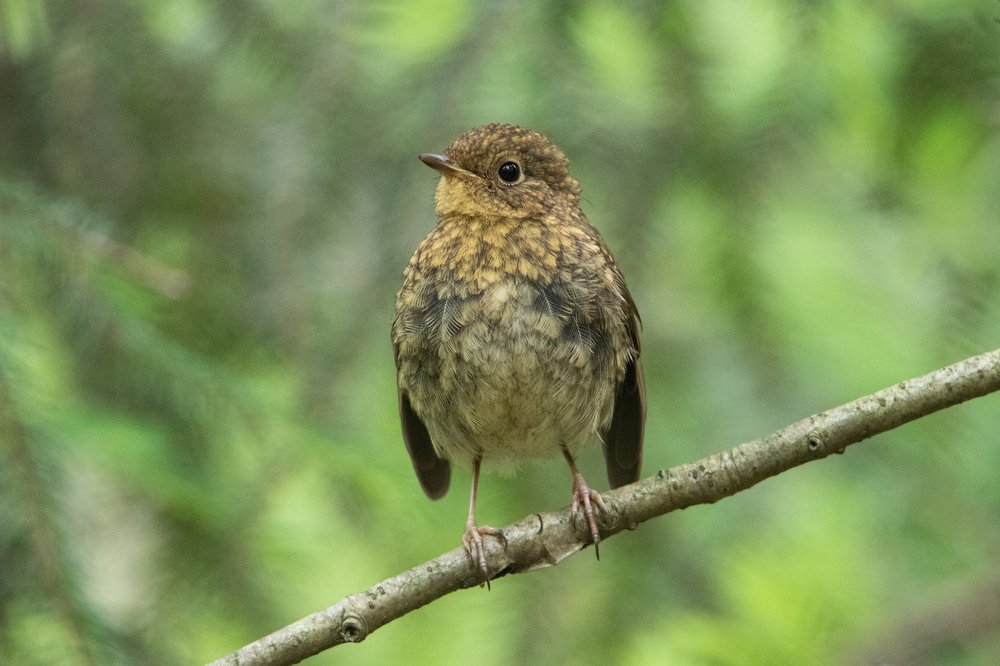 Photograph by Цветков Сергей