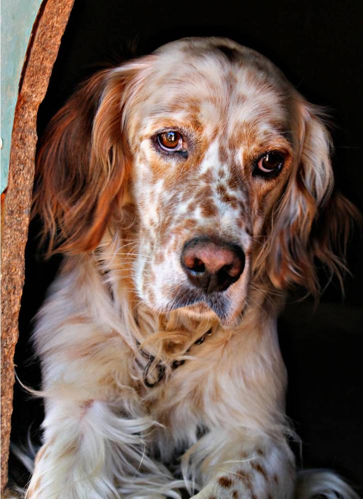 Photograph by Francisco Ferreira