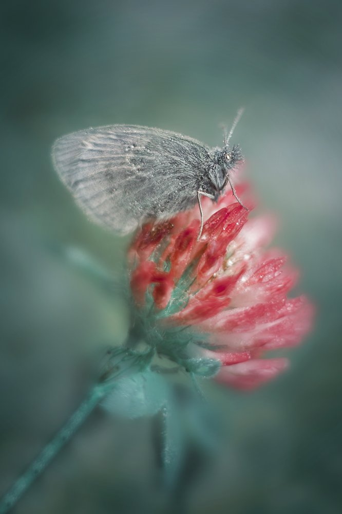 Photograph by Максим Вышарь