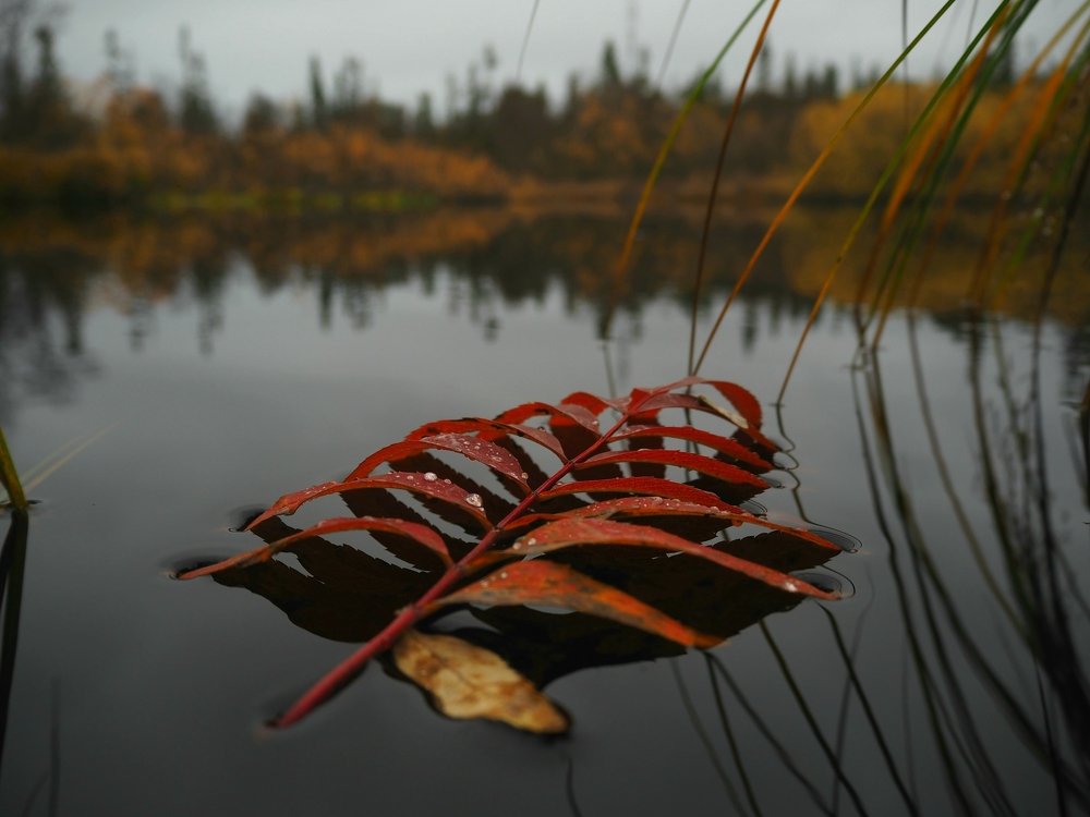 Photograph by Евгений Яковлев