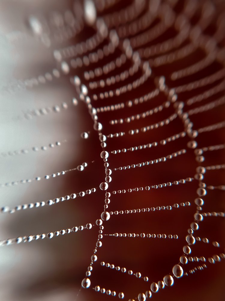 Photograph by Сергей Колос