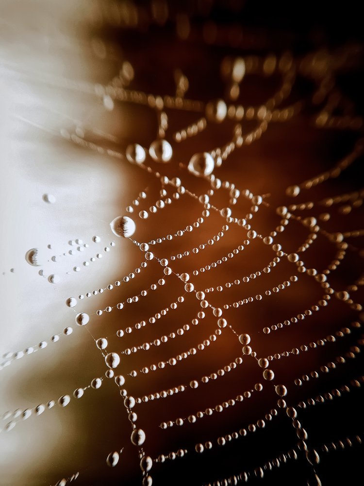 Photograph by Сергей Колос