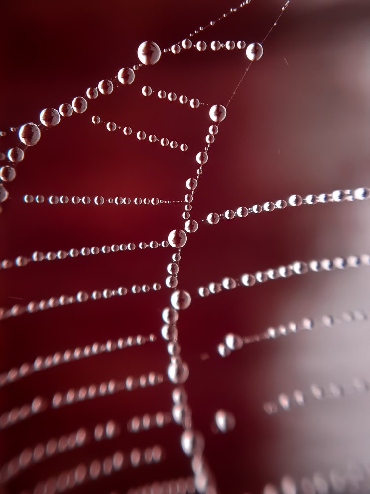 Photograph by Сергей Колос