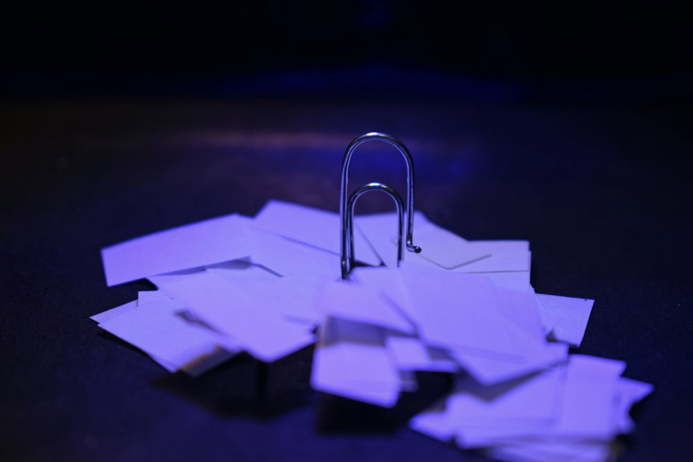 Фотография автора Алина