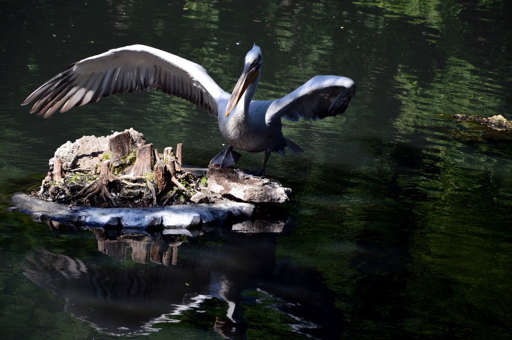 Photograph by Юрий Подвойский