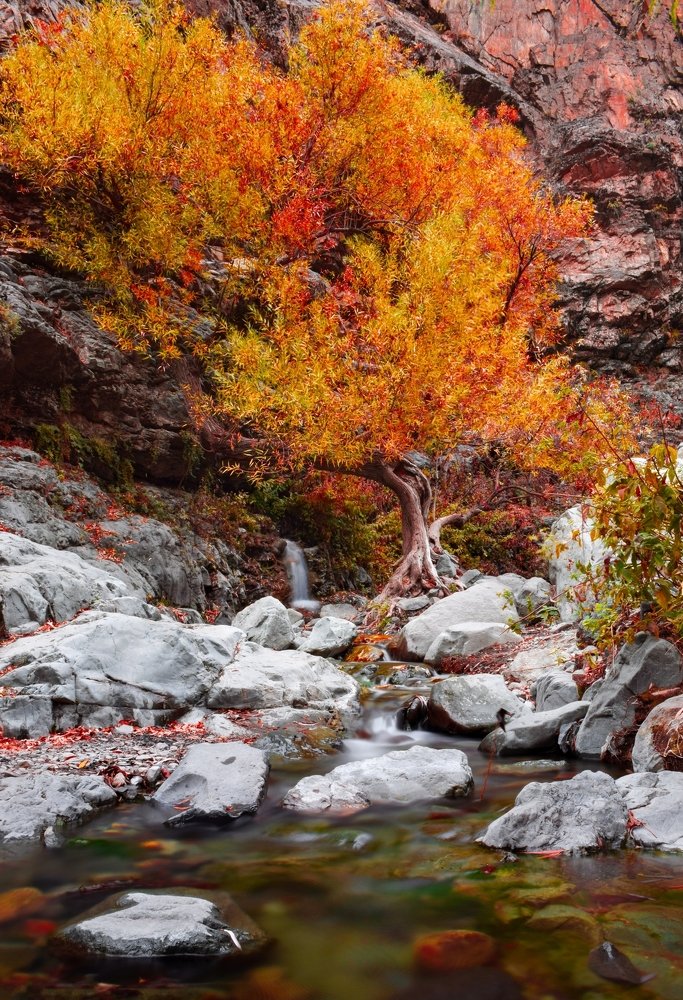 Photograph by Farshad Yazdankhah