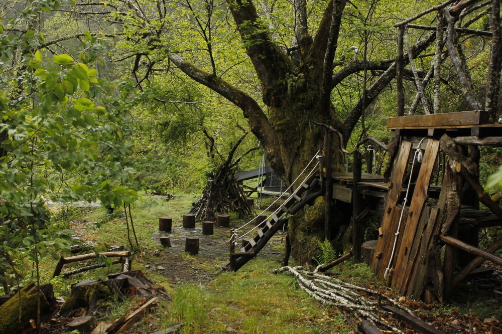 Photograph by Francisco Ferreira