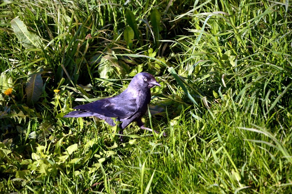 Photograph by Юрий Подвойский