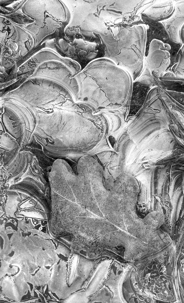 Photograph by Анатолий Андреев