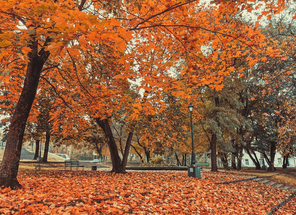 Photograph by Юлия Тарасенко