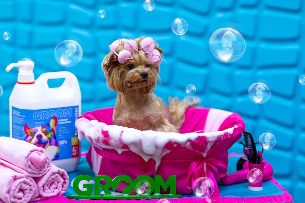 Photograph by Оксана Шаяхметова