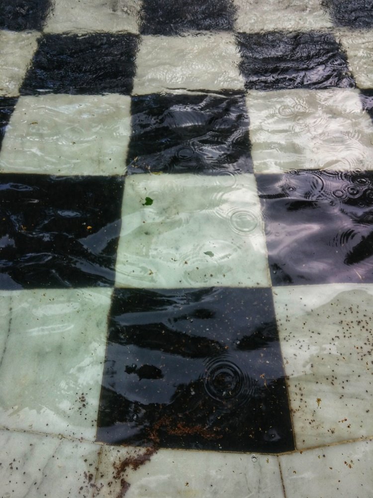 Photograph by Елена Амосова