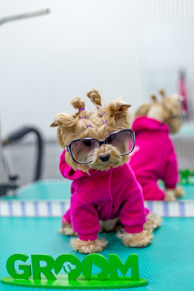 Photograph by Оксана Шаяхметова