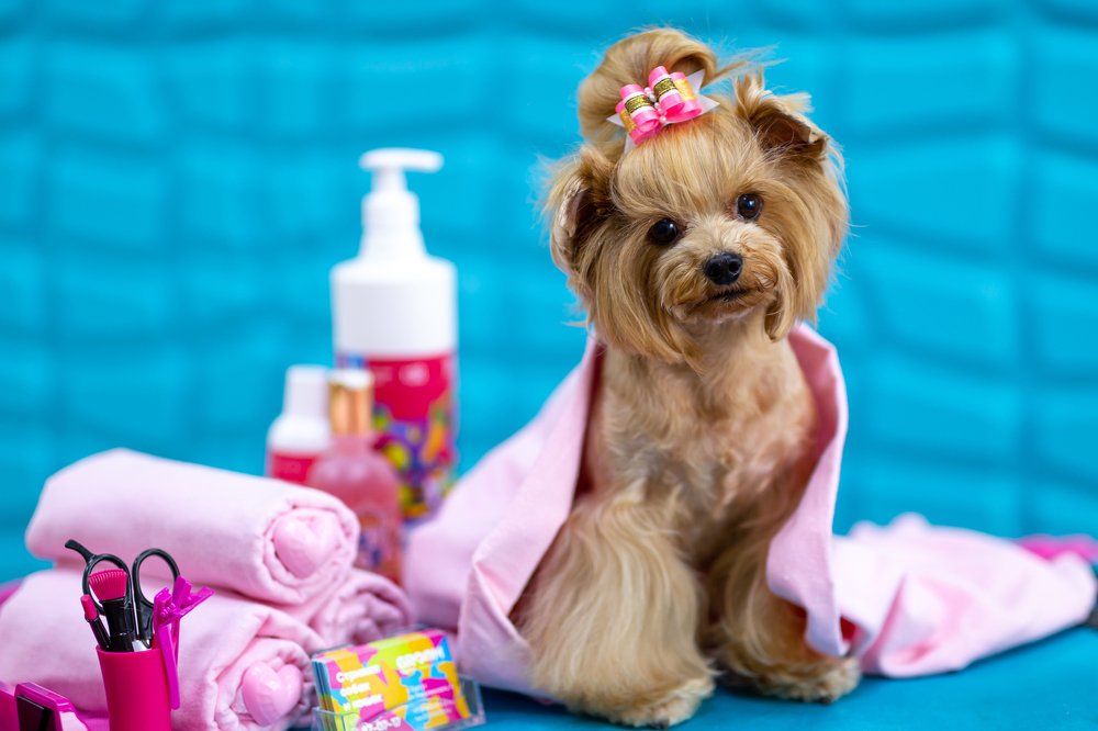 Photograph by Оксана Шаяхметова