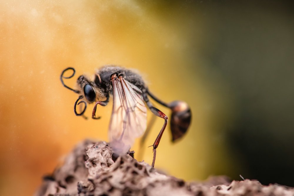 Photograph by Алексей Карпинчик