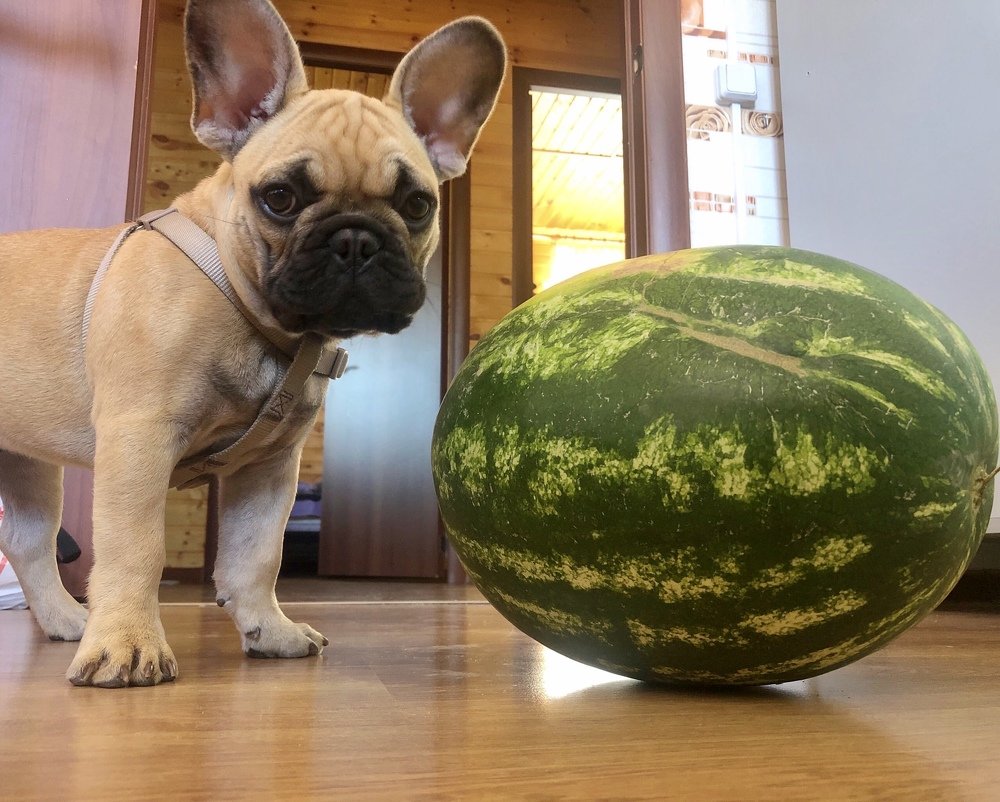 Photograph by Оксана Шеховцова