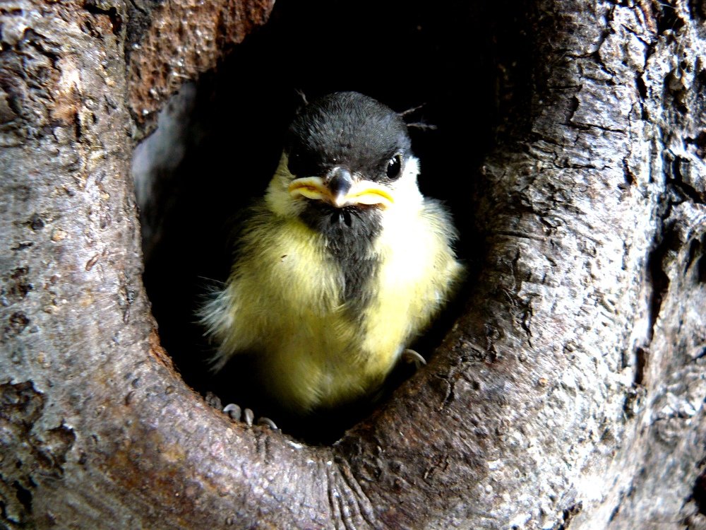 Photograph by леонид натапов