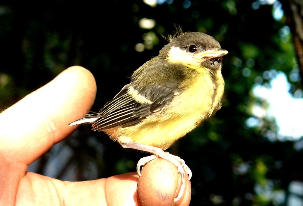 Photograph by леонид натапов