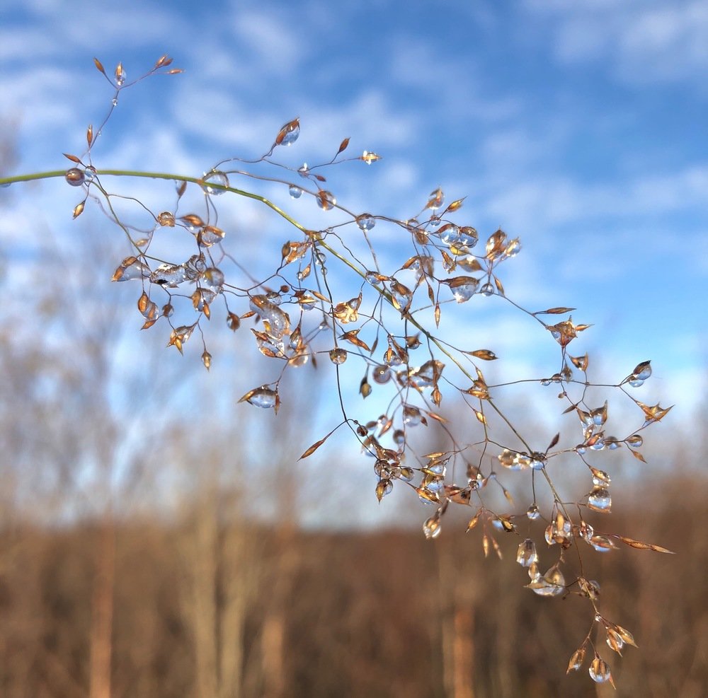 Photograph by Оксана Шеховцова