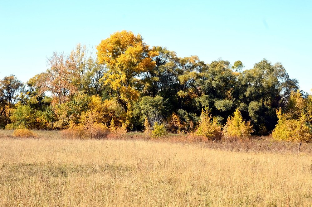 Photograph by Юрий Подвойский