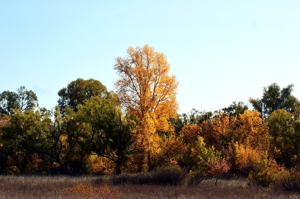 Photograph by Юрий Подвойский