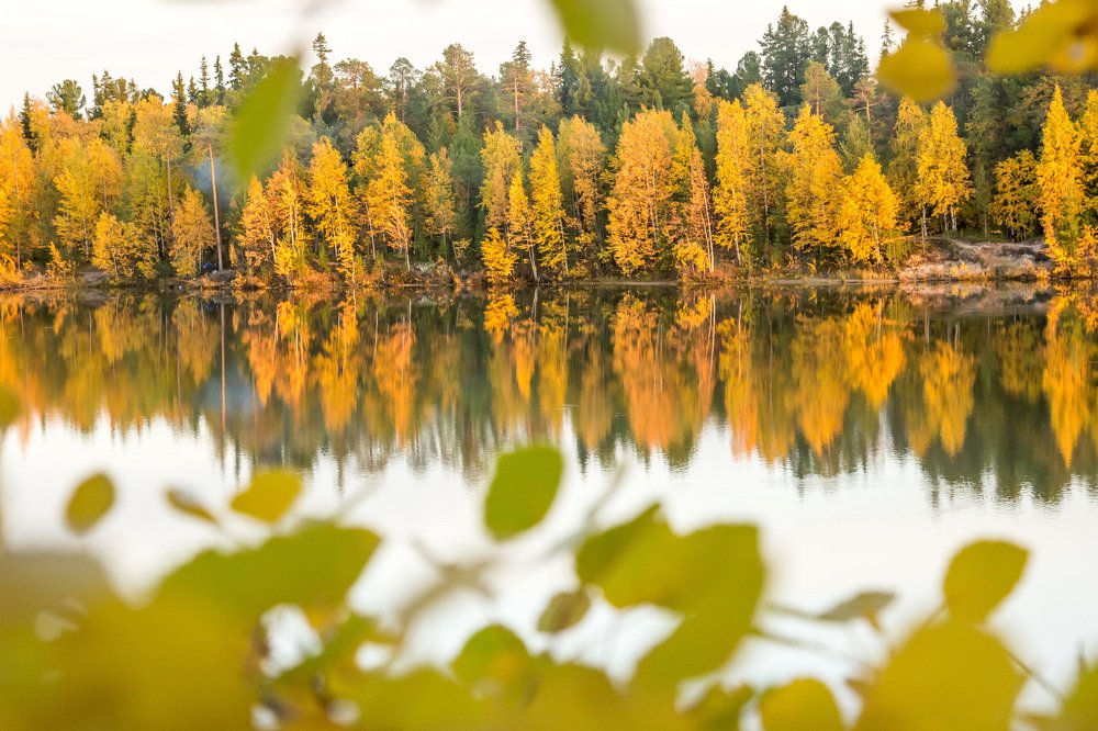 Photograph by Оксана Шаяхметова