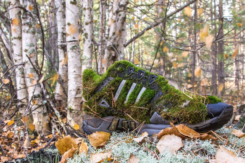 Photograph by Оксана Шаяхметова