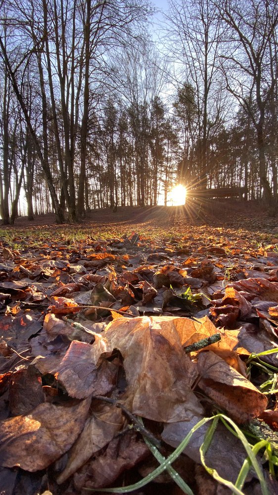 Photograph by Анатолий Андреев