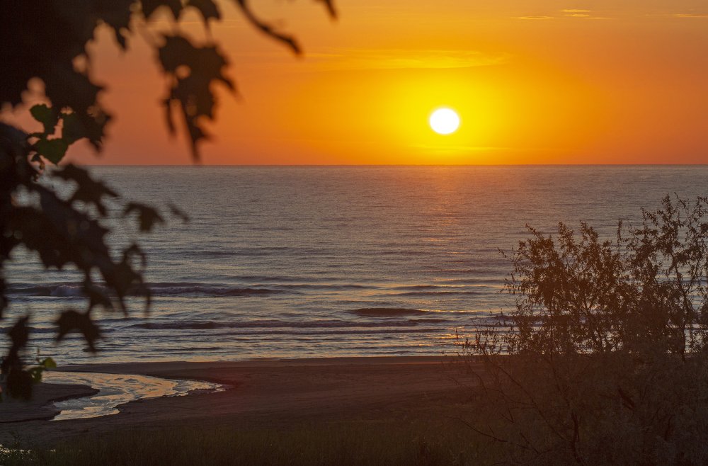 Photograph by НАТАЛЬЯ КРИВЕНКО