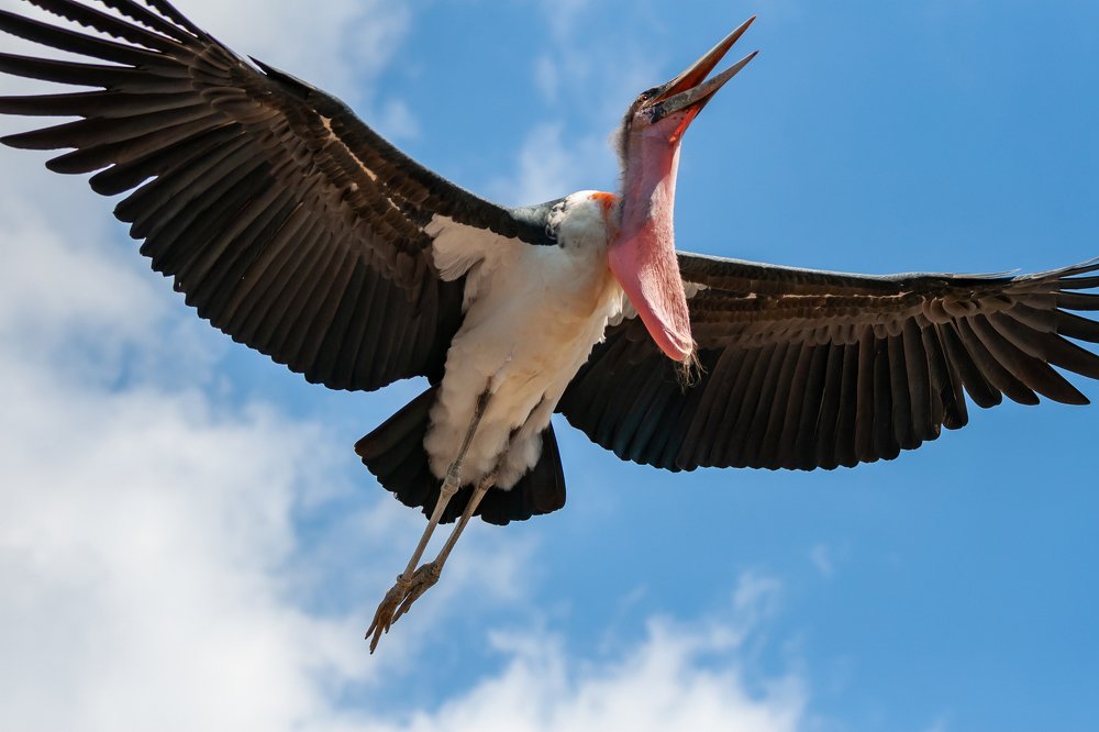 Photograph by Александр Ульянов