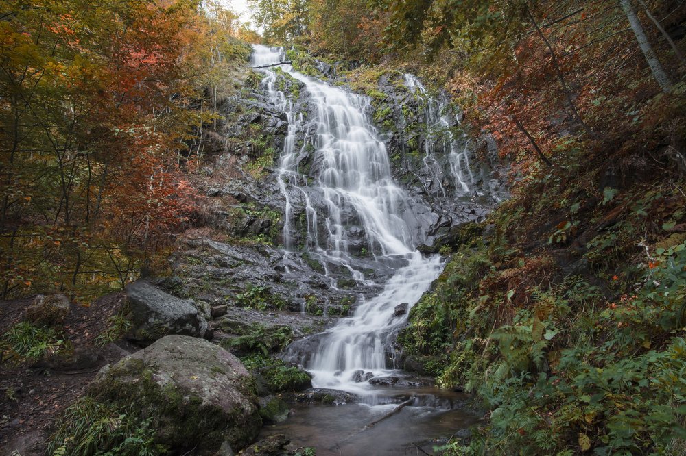 Photograph by Jelena Potrebic