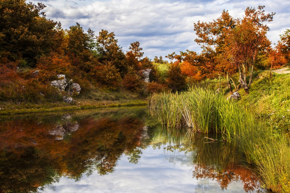 Photograph by Jelena Potrebic