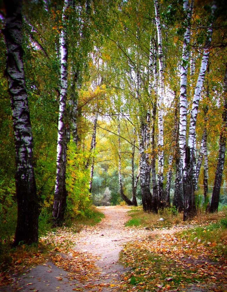 Photograph by леонид натапов