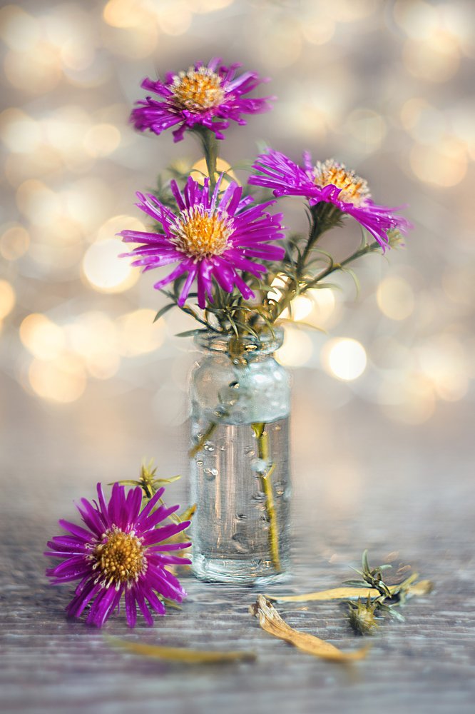 Photograph by Александра Коновалова