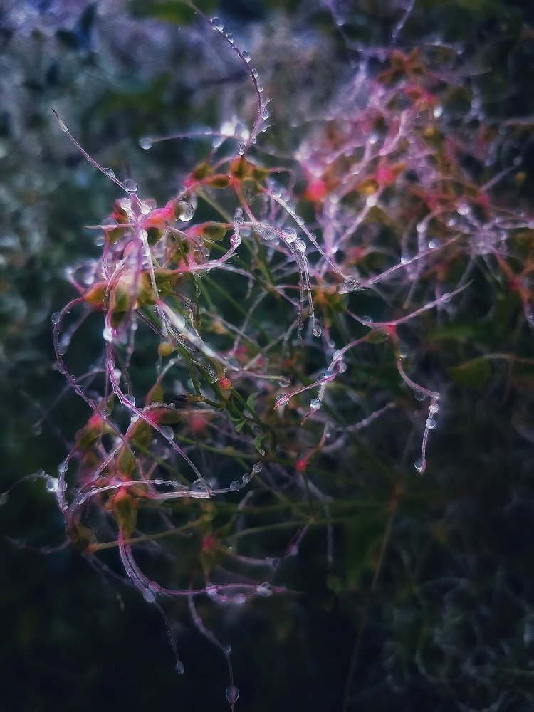 Photograph by Ольга Мажарук