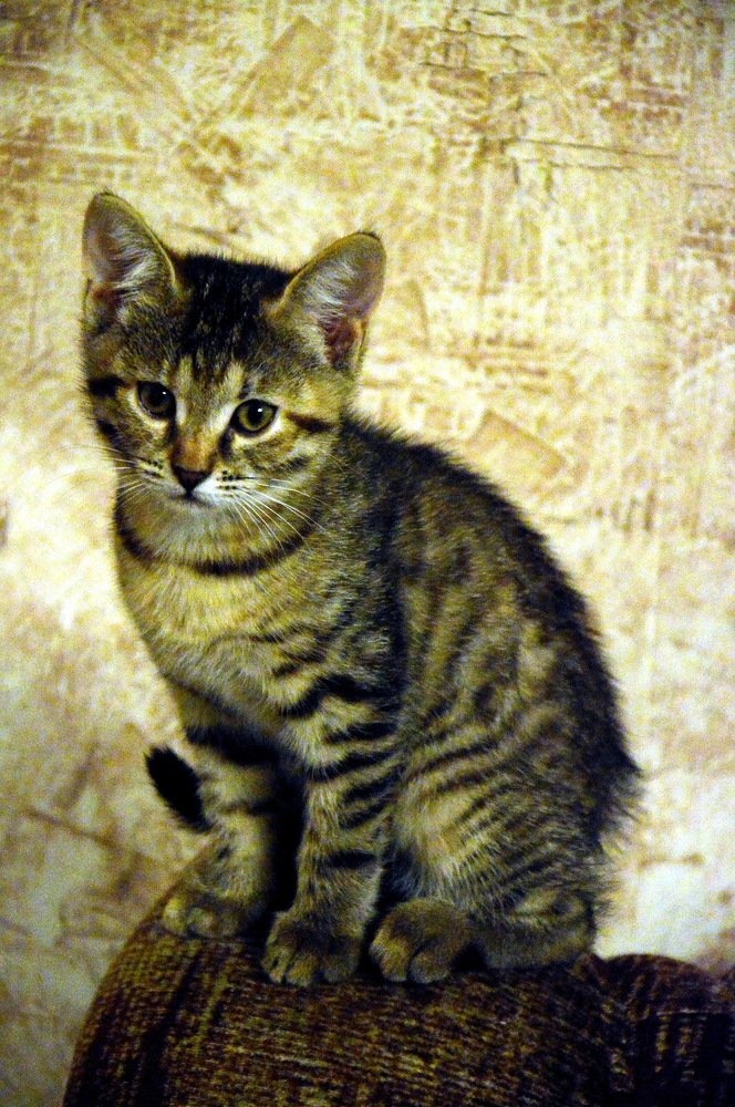 Photograph by Юрий Подвойский