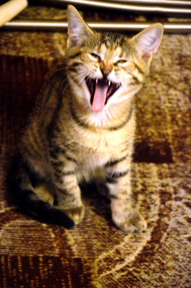 Photograph by Юрий Подвойский